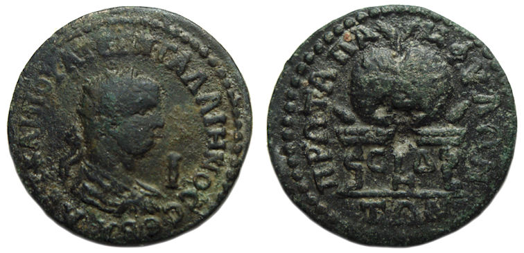Gallienus Ae 10 Assaria : Side Pamphylia : Prize Urn